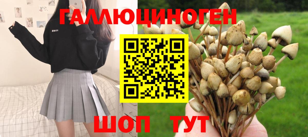 Псилоцибиновые грибы ЛСД  купить наркотики сайты  Вход с VPN  Троицк  Галлюциногенные грибы мухоморы 
